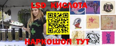 гашик Волгодонск