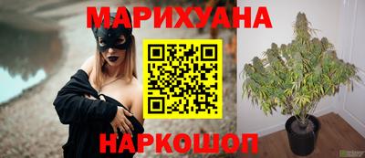 крисы Волжск