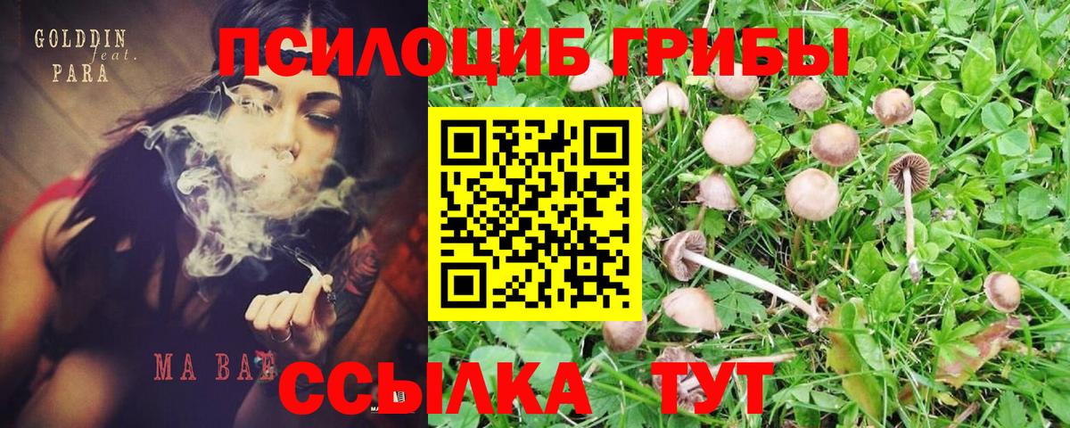 Псилоцибиновые грибы мицелий  Вход с VPN  Нефтекамск 